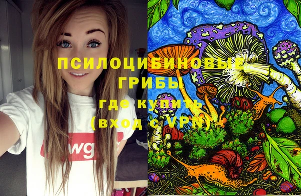 PSILOCYBIN Алексеевка