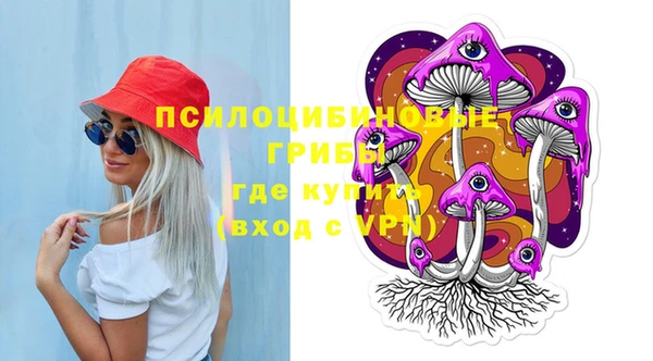 PSILOCYBIN Алексеевка